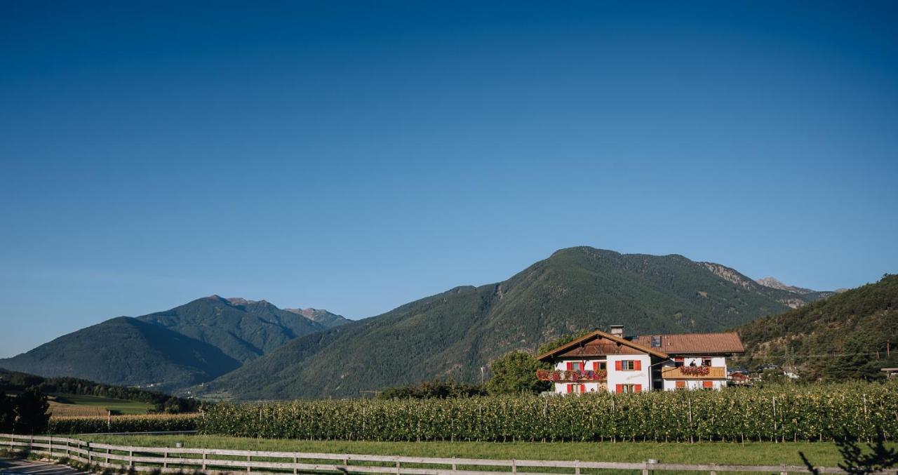 Guest house Peintnerhof Appartments &
